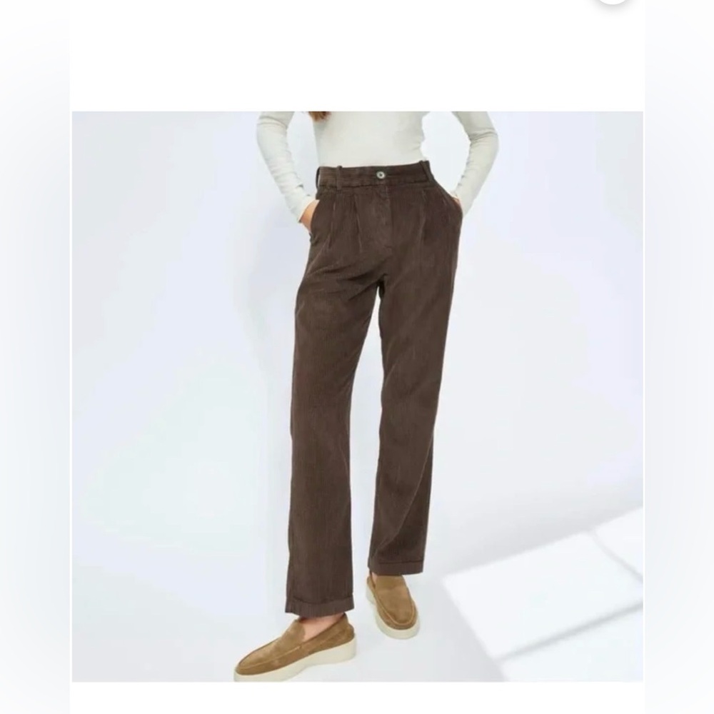 Dark brown Aritzia/babaton corduroy pant.